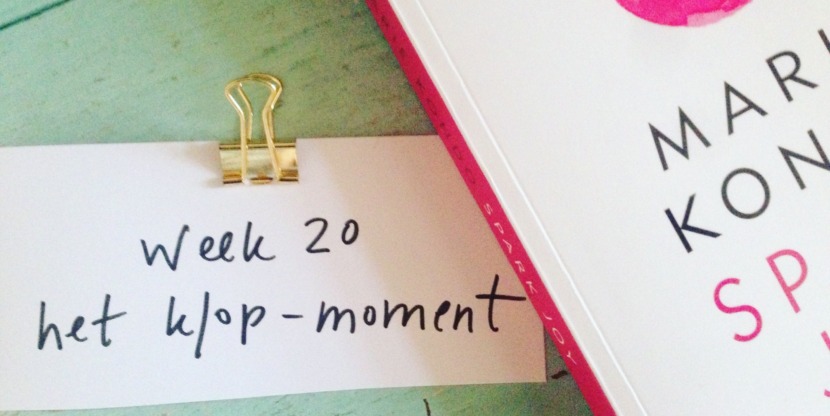 20160223_DeclutteringwithAstrid_20