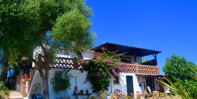 20160314_Finca Alegria2