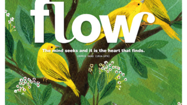 2017_Cover_INT 20 groot