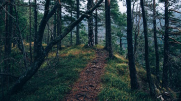 taking the first step