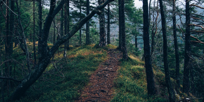 taking the first step