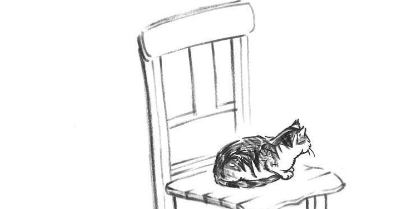 bl 2 kat op stoel 001