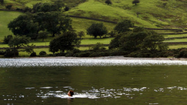 Wild swimming