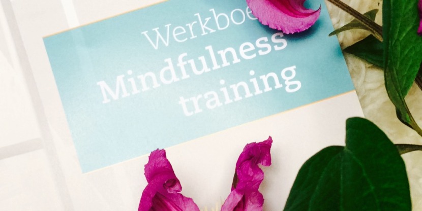 foto-mindfulnessboek