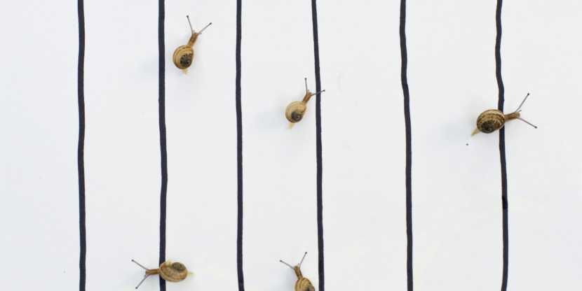 gettyimages-125826453