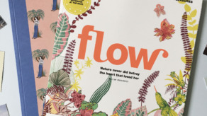 flow magazine issue 35