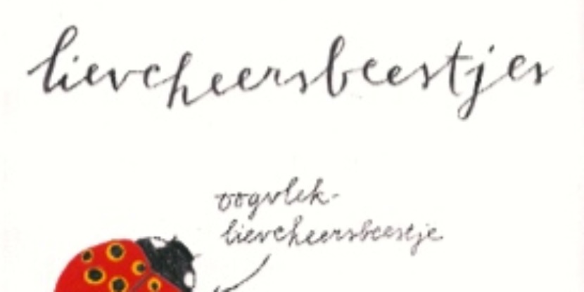 lieveheersbeestjes