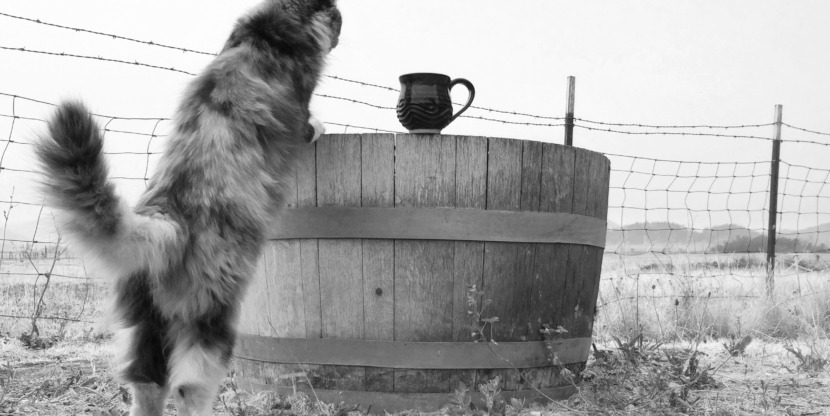 Revamp Your Routine_Smoky Sky kopie