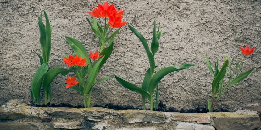 shutterstock_140797915