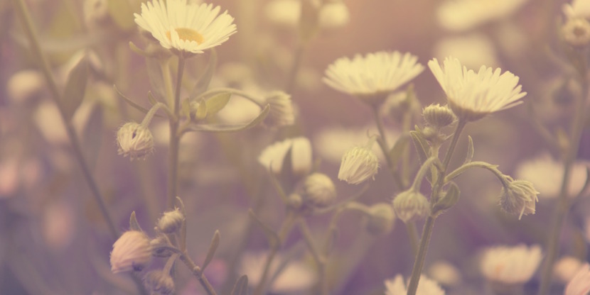 shutterstock_170101418