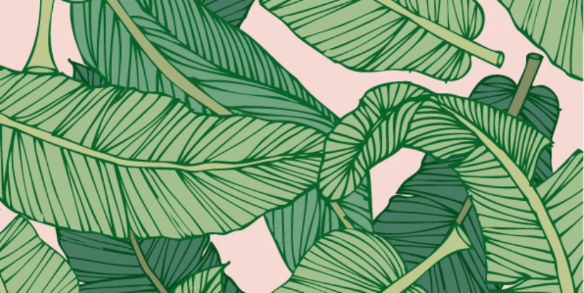 shutterstock_204867850